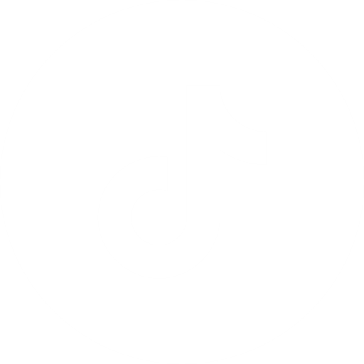 TikTok icon