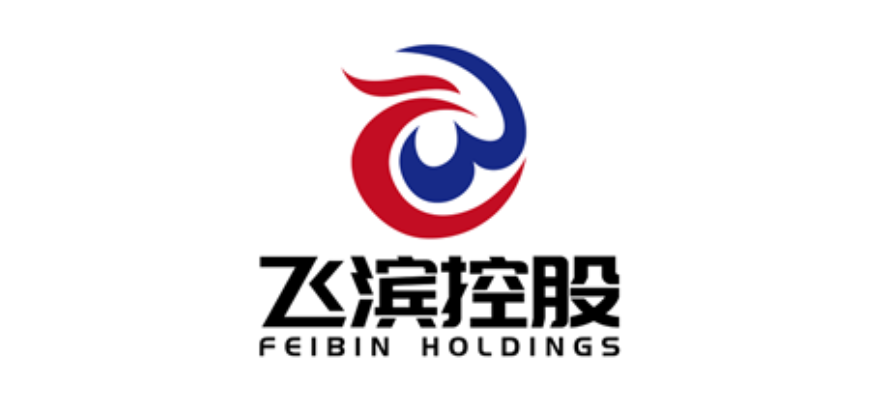 飞滨控股